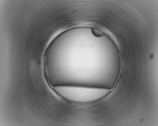 X0000095111235200712070911