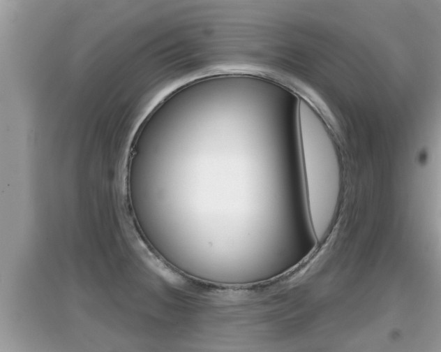 X0000095111236200712070911