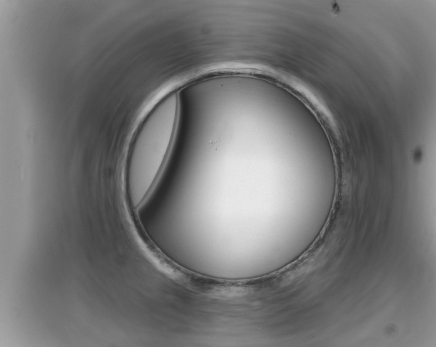 X0000095111237200712070911