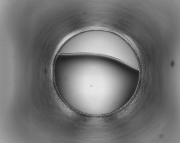 X0000095111238200712070912