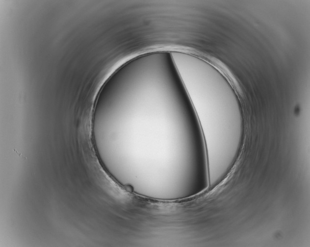 X0000095111244200712070912