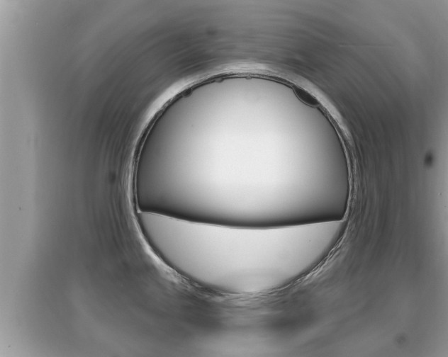 X0000095111245200712070912