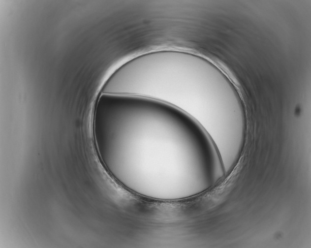 X0000095111246200712070912