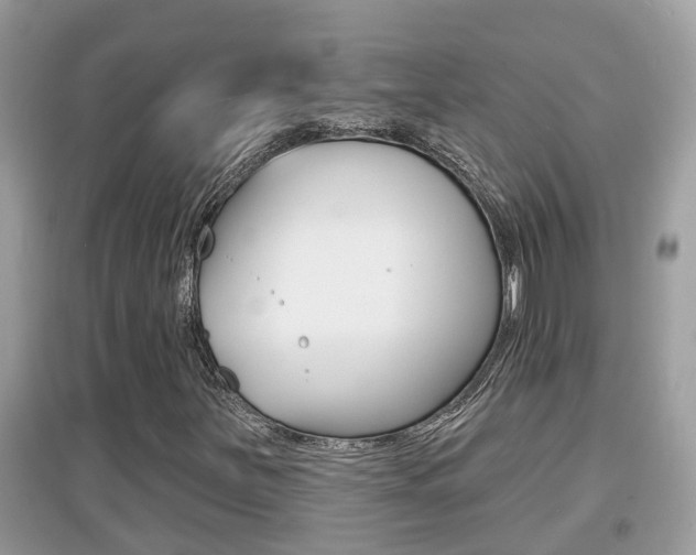 X0000095111251200712070911