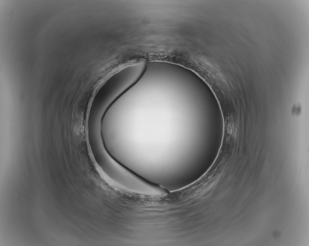 X0000095111252200712070911