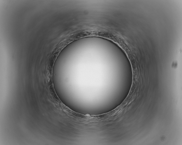 X0000095111253200712070911