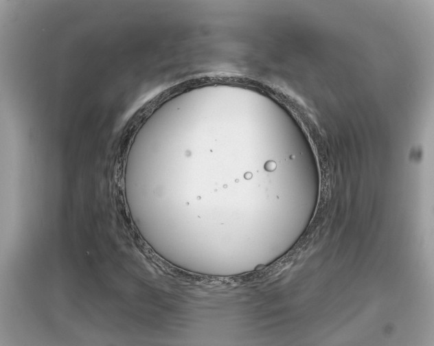 X0000095111255200712070911