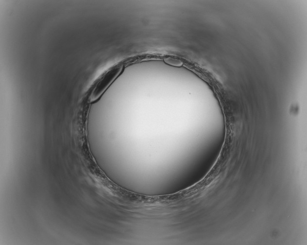 X0000095111256200712070911