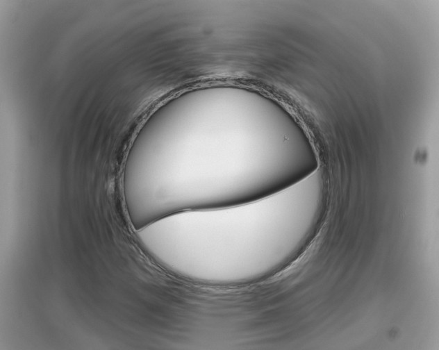 X0000095111257200712070911