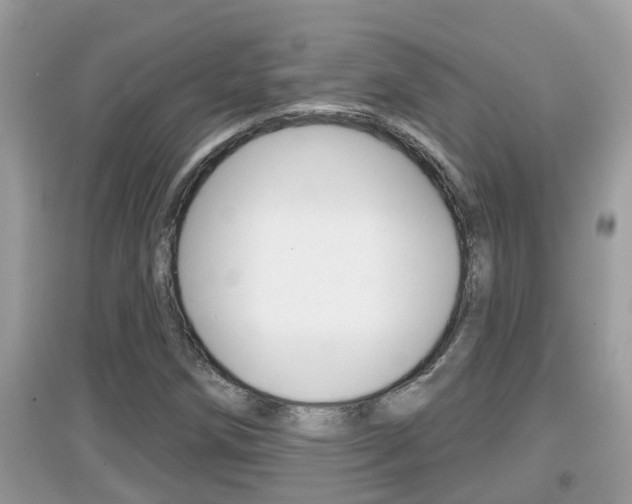 X0000095111258200712070911