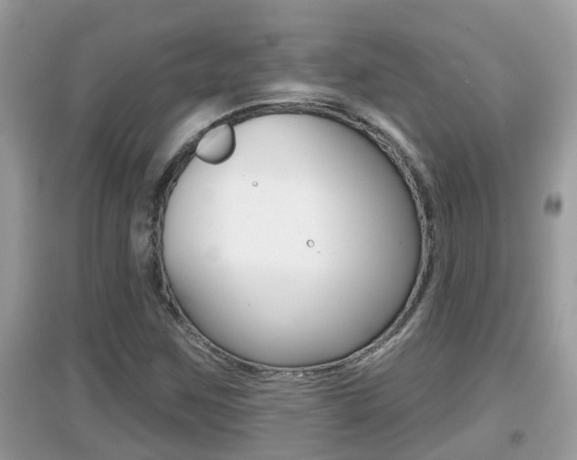 X0000095111259200712070911