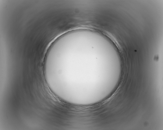 X0000095111260200712070911