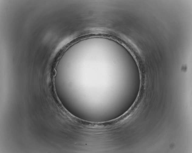 X0000095111261200712070911