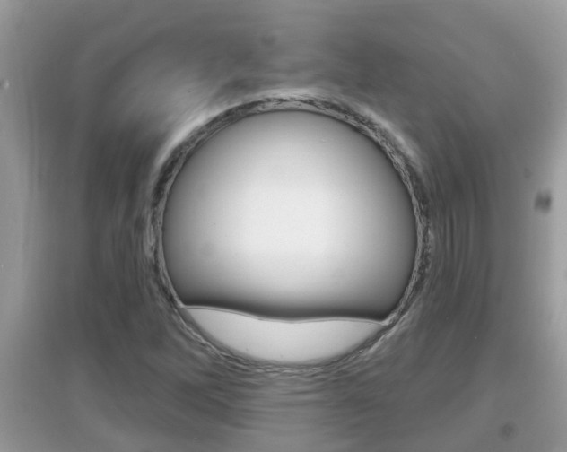 X0000095111262200712070911