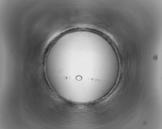 X0000095111263200712070911