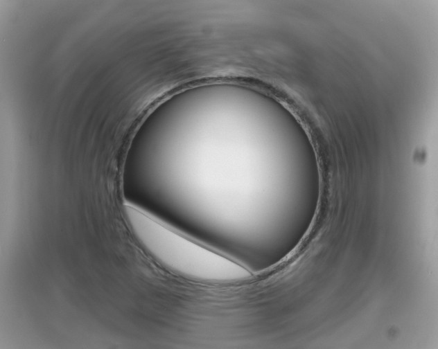 X0000095111265200712070911