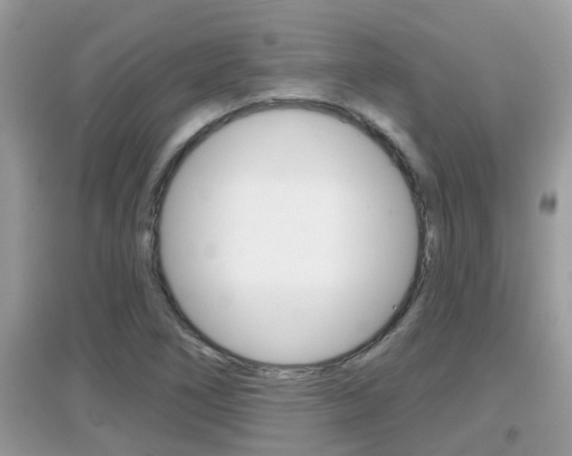X0000095111266200712070911