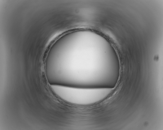 X0000095111267200712070911