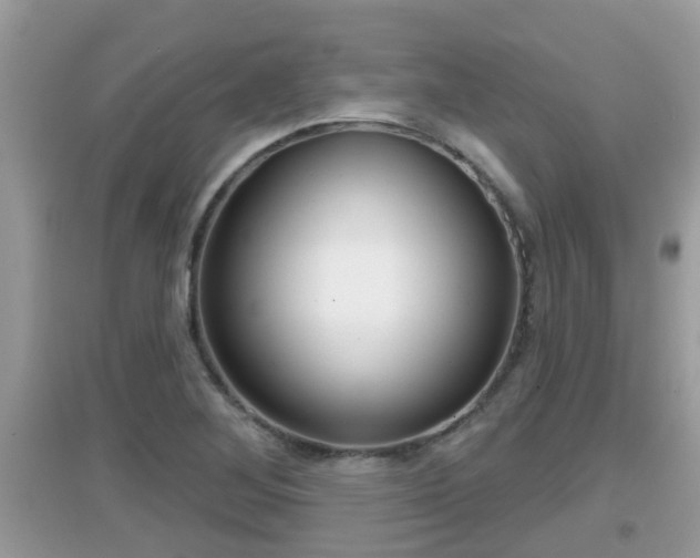 X0000095111268200712070911