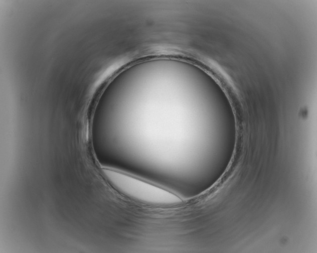 X0000095111269200712070911