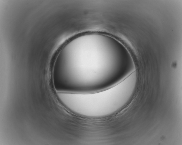X0000095111270200712070911