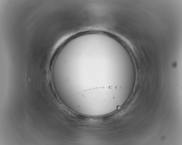 X0000095111271200712070911