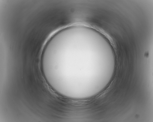 X0000095111272200712070911