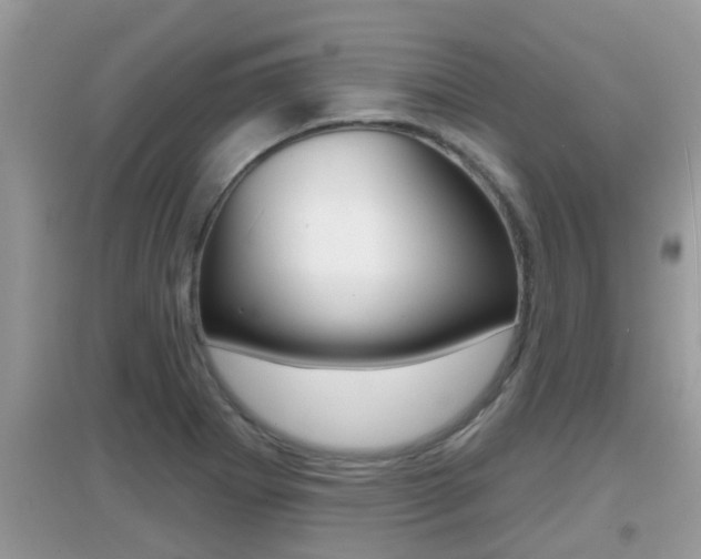 X0000095111273200712070911