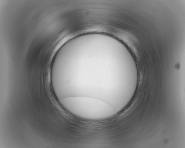 X0000095111274200712070911