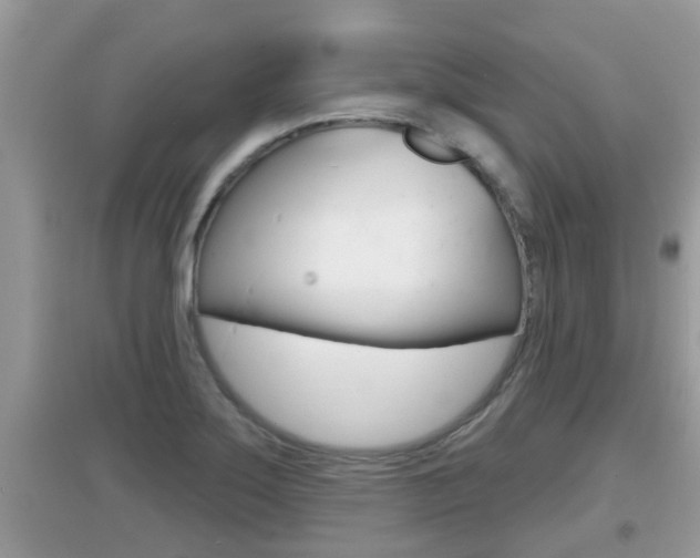 X0000095111275200712070911