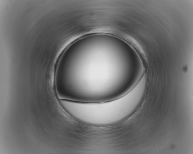 X0000095111276200712070911