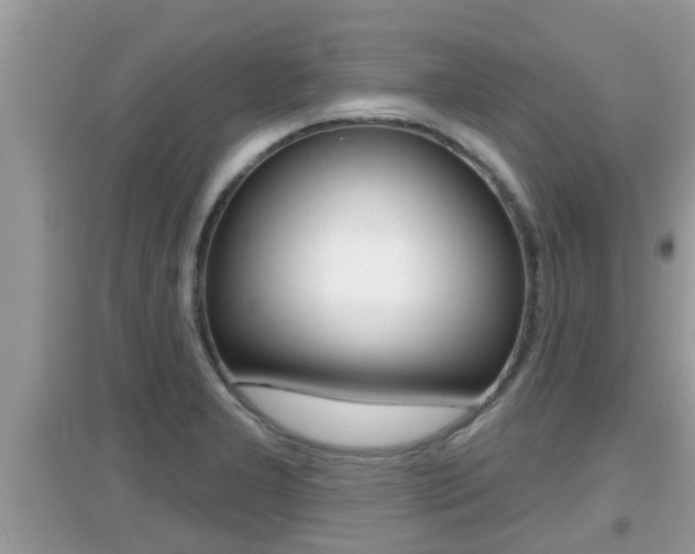 X0000095111277200712070910