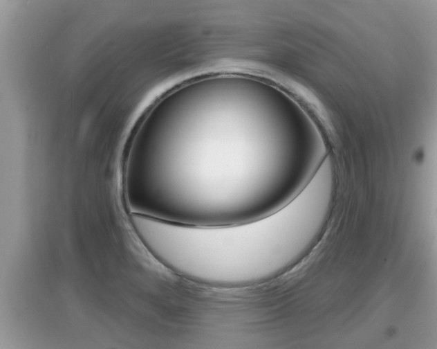X0000095111280200712070910