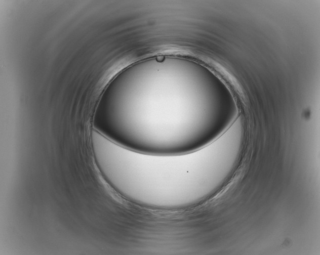 X0000095111281200712070910
