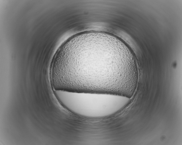 X0000095111283200712070910