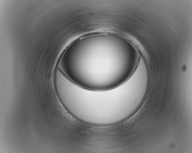 X0000095111284200712070910