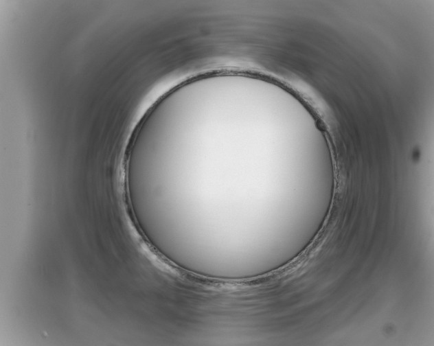 X0000095111287200712070910
