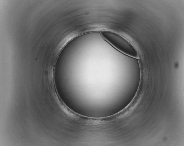 X0000095111289200712070910