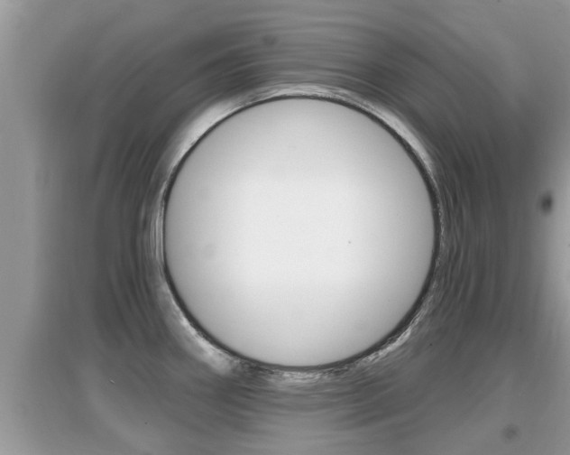 X0000095111290200712070910