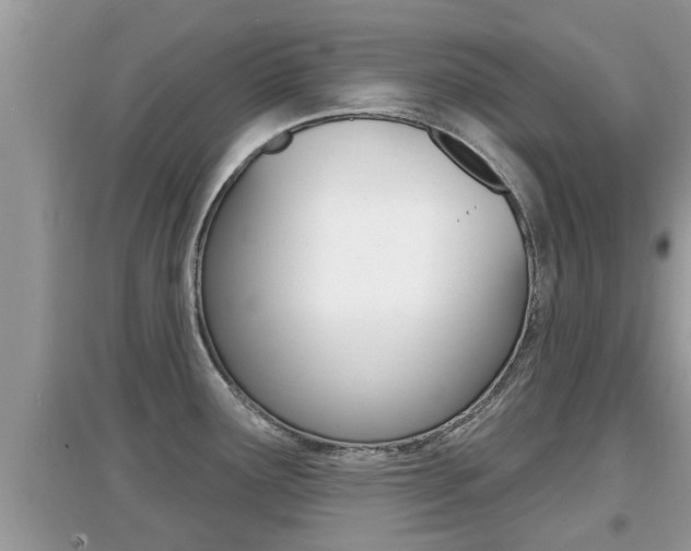 X0000095111291200712070910
