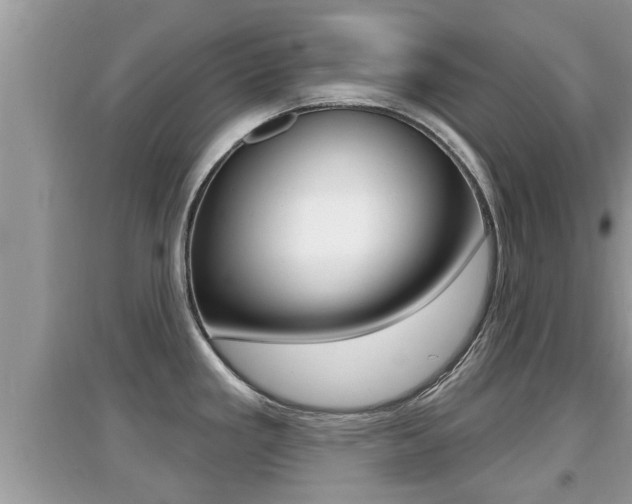 X0000095111293200712070910