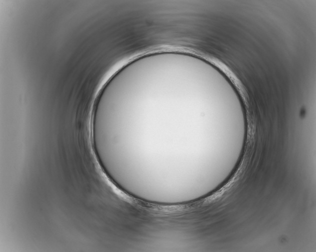X0000095111294200712070910