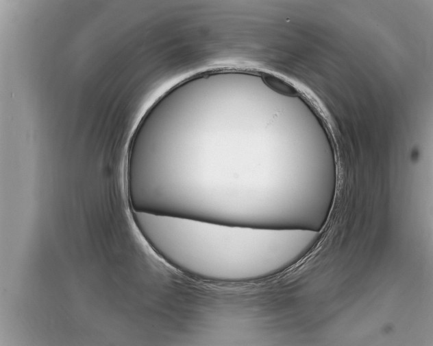 X0000095111295200712070910