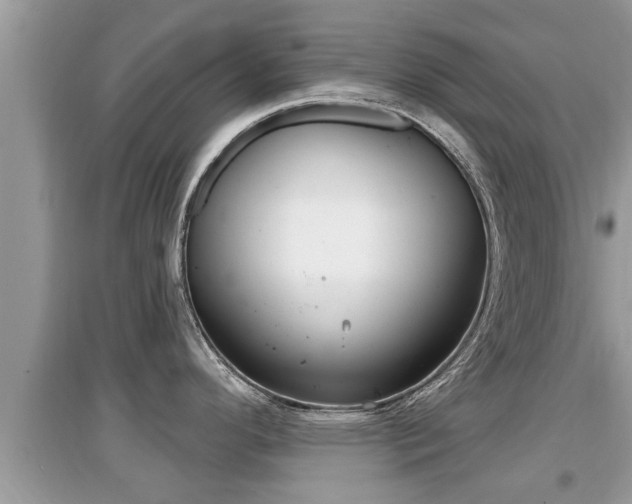 X0000095111296200712070910