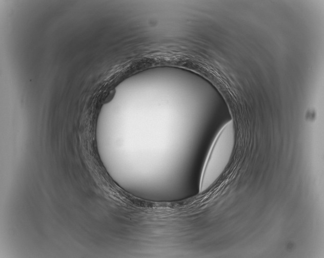 X0000095111297200712070909