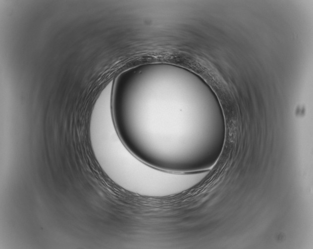 X0000095111298200712070909