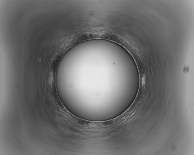 X0000095111299200712070909