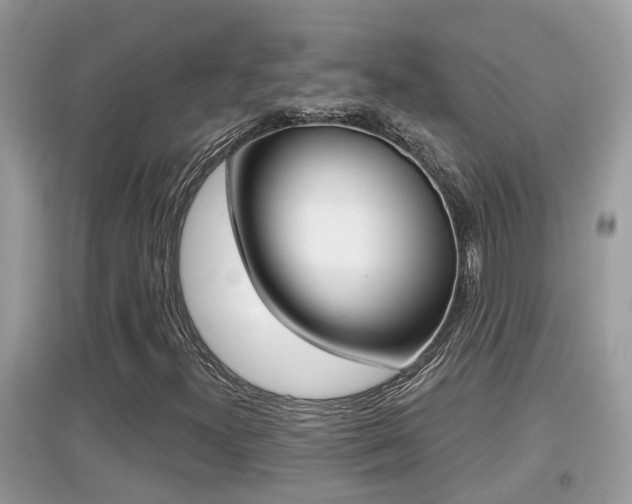 X0000095111300200712070909