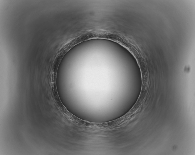 X0000095111301200712070909