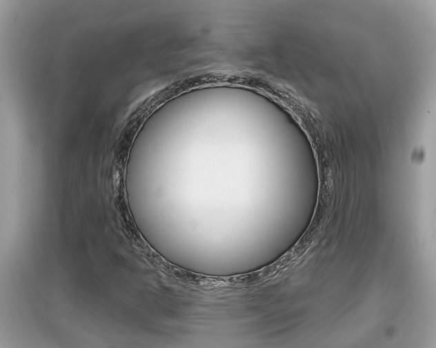 X0000095111302200712070909